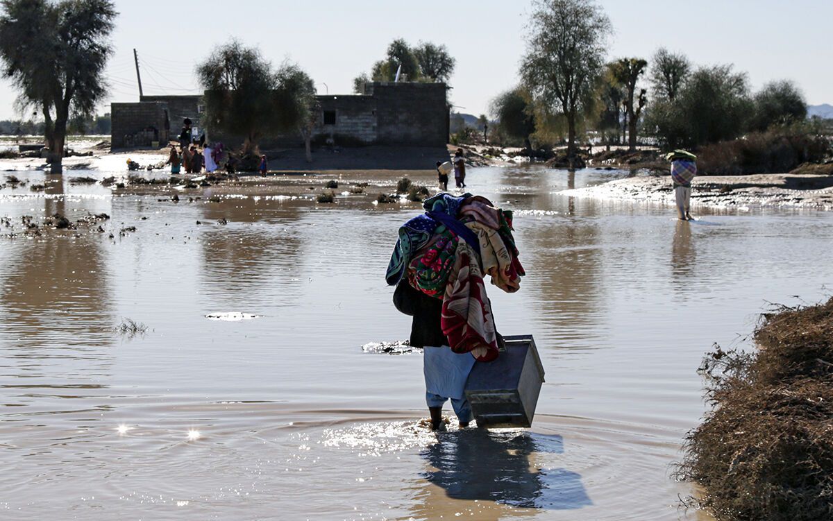 سازمان یار• تصویر و متن